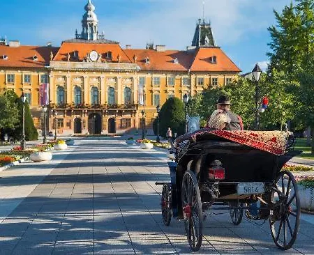 Lola * Sombor